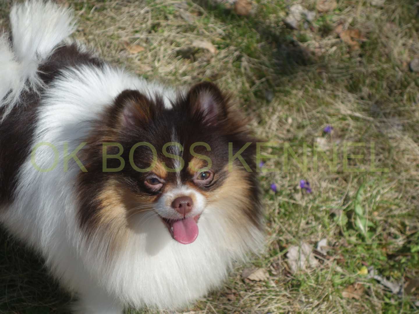 DSC03941